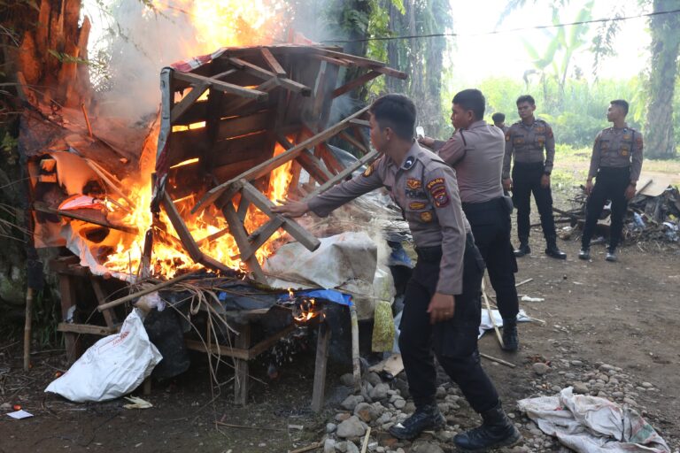 Polda Sumut Ratakan Gubuk Narkoba dan Judi di Kutalimbaru