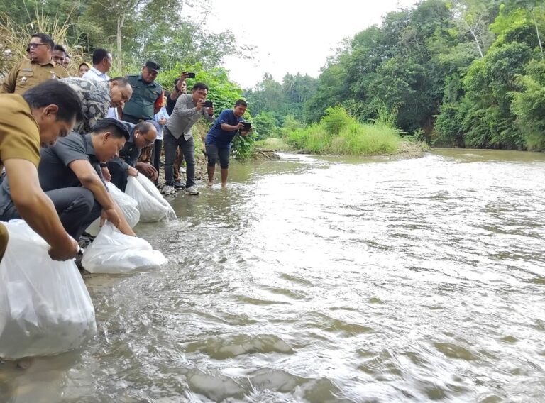 Jaga Kearifan Lokal, Letnan Dalimunthe – Kepala Dinas DKP Sumut Tabur Benih Ikan Jurung