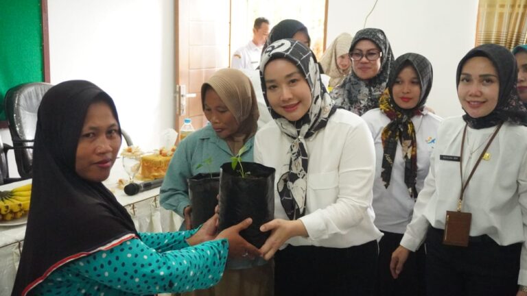 Pj Ketua TP PKK Langkat Bina UP2K – PKK di Desa Stabat Lama Wampu