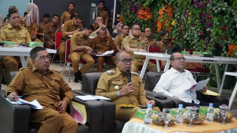 Pj Bupati Langkat Faisal Hasrimy Dialog Kinerja dengan Kemenpan RB.