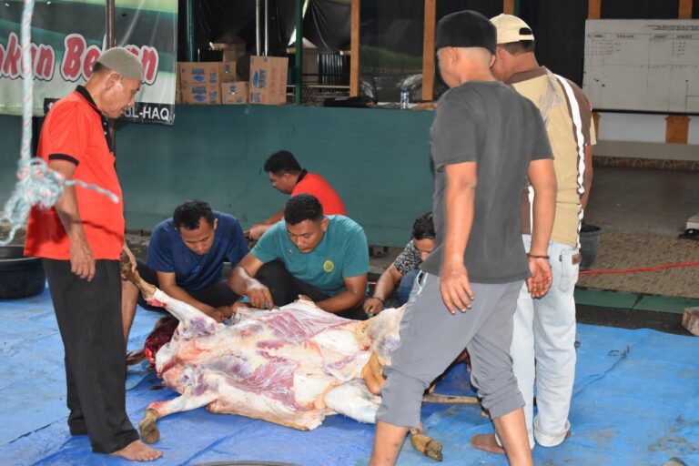 Idul Adha 1445 H, PN Medan Kurban 5 Ekor Lembu
