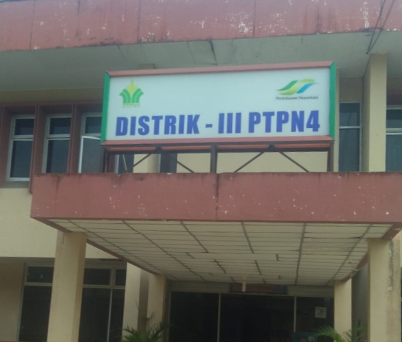 Capaian Produksi TBS PTPN IV  Regional II Group III Naik Signifikan