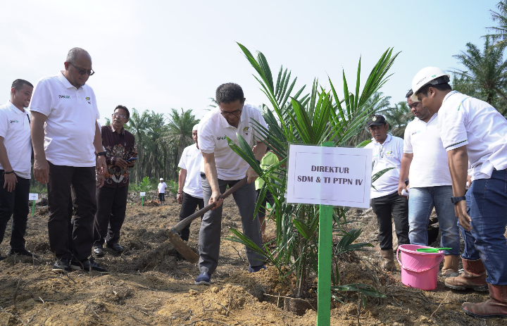 PTPN Regional l Realisasikan 744,93 ha Lahan Peremajaan Sawit Rakyat