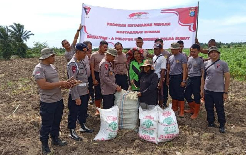 Polda Sumut Siapkan 548 Hektar Lahan untuk Penanaman Jagung Serentak