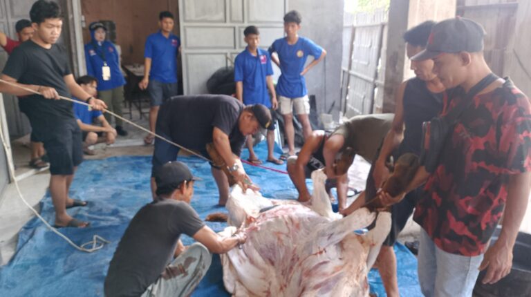 Rayakan Idul Adha 1446 H, KSPSI AGN Sumut Sembelih 3 Hewan Kurban