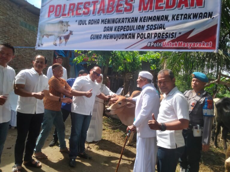 Polrestabes Medan Sembelih 13 Ekor Lembu dan 4 Ekor Kambing