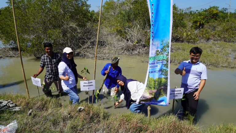 Peringati Hari Mangrove, Pelindo Regional 1 Tanam di Pesisir Batu Bara