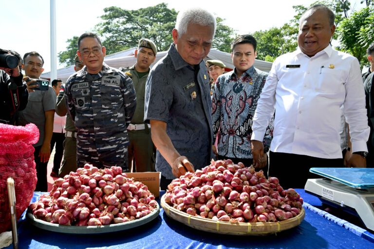 Dukung Gerakan Pangan Murah Serentak Nasional, Sumut Gelar Pasar Murah di 394 Titik Lokasi di 33 Kabupaten/Kota