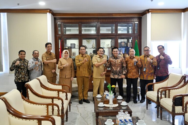 Pemprov Sumut Dukung Percepatan Optimalisasi Kelistrikan Pedesaan