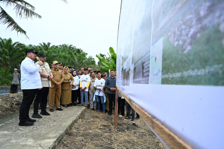 Bobby Nasution Tanam Cabai bersama Kelompok Tani, Pastikan Perbaikan Infrastruktur Dorong Ketahanan Pangan