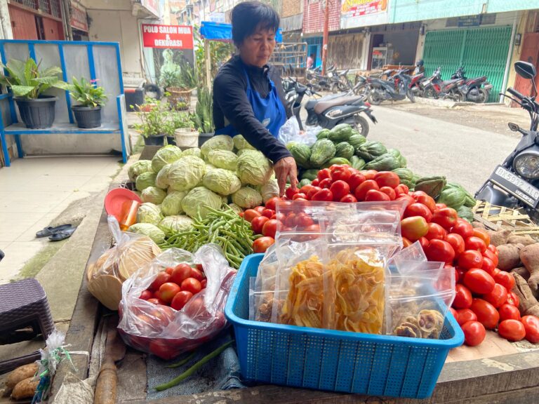 Didukung Pembiayaan Ultra Mikro BRI, Pedagang Sayur di Karo Mampu Kembangkan Usaha dan Bantu Ekonomi Keluarga
