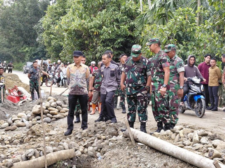Sekda Amril Wakili Bupati Dampingi Pangdam I/BB Tinjau Jembatan Terdampak Banjir