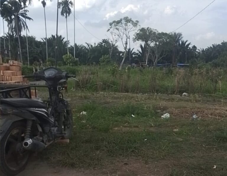 Judi Mesin Tembak Ikan Naibaho Kembali Eksis di Wilkum  Polsek Sunggal