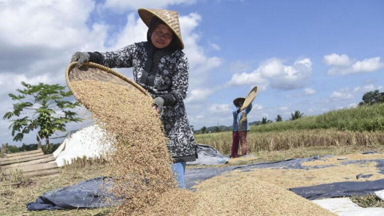 Dido Peto Sifarif : Bulog Siap Lakukan Penyerapan Gabah Kering di Tabagsel