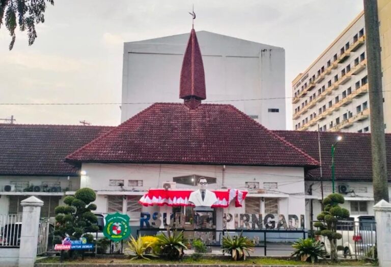 Dewan Minta Pemko Medan Cepat Bersikap Terkait Isi Pengunduran Diri Pimpinan RSUD Pirngadi, Jangan Sampai Mengganggu Pelayanan