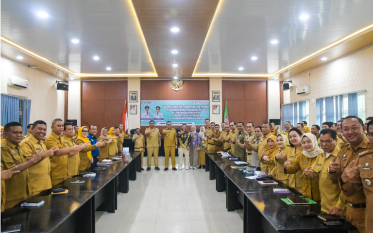 Penyusunan kinerja Pemkab DS