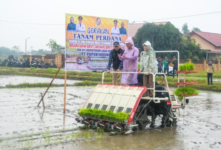Target 9 Ton per Hektare, Pemkab Deli Serdang Uji Jalan Baru Pertanian Modern