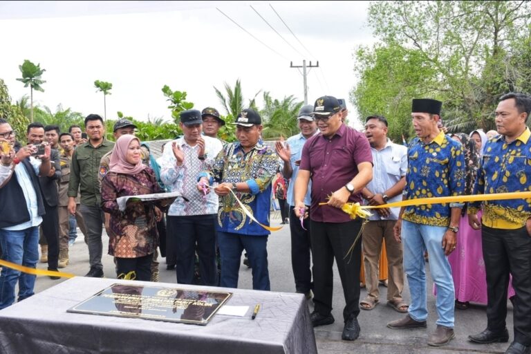 Dua Jembatan Baru di Hamparan Perak Diresmikan, Akses Pesisir Kini Lebih Aman dan Layak