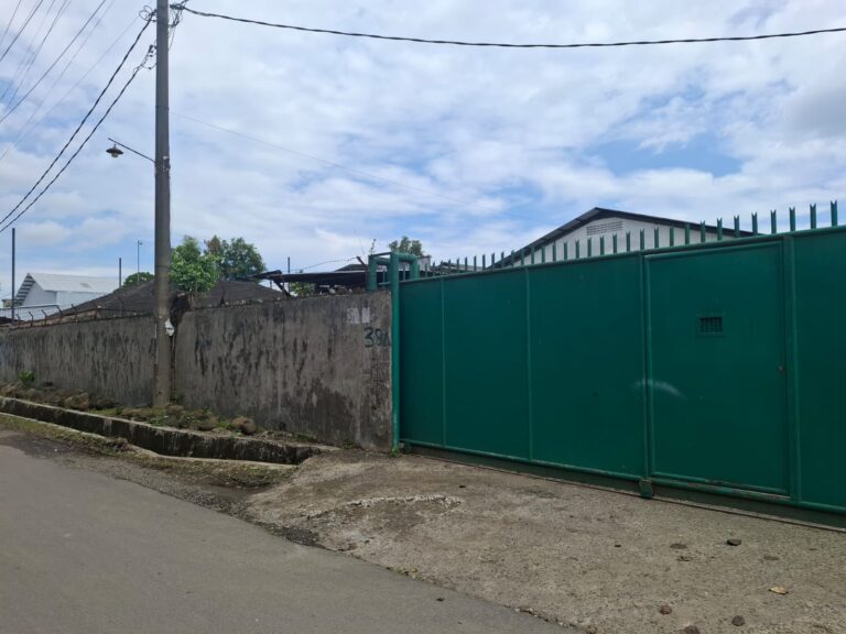 Warga Resah, 10 Besi Panjang Besar Berdiri Tegak Tanpa Plang PBG di Kelurahan  Kedai Durian