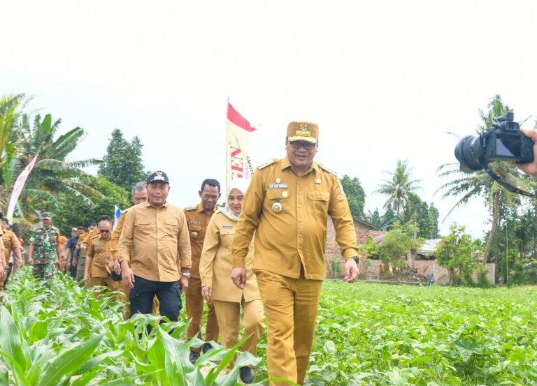 Pemkab Deli Serdang Siapkan Intervensi Pasar, Beli Langsung Cabai dan Bawang Petani