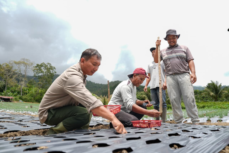 Bupati Deliserdang jadikan 502 Ha Lahan TORA di STM Hulu untuk Tanaman Bawang