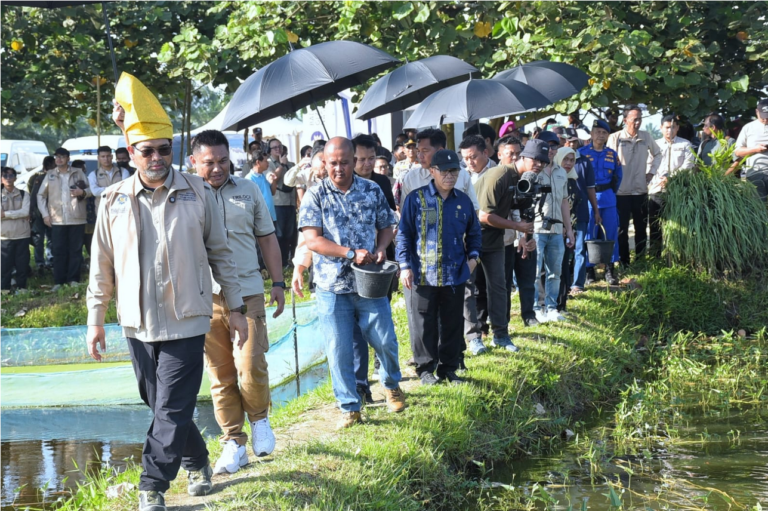 MBG Beri Dampak Ekonomi yang Nyata Bagi Masyarakat