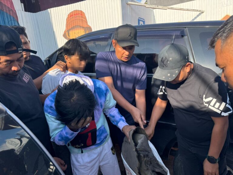 Perdagangan Ilegal Satwa Dilindungi Digagalkan di Sipirok, Polisi Amankan Sisik Trenggiling hingga Kulit Kijang