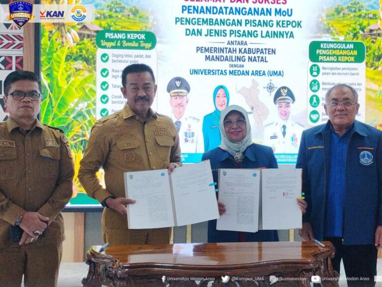 Program DIP UMA dan Pemkab Madina Kembangkan Pisang Kepok “Sitabar”