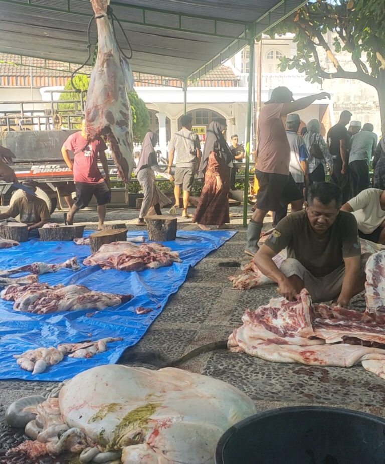 Perayaan Iduladha 1447 H, Masjid Pematang Siantar Sembelih 10 Ekor Sapi dan 6 Kambing