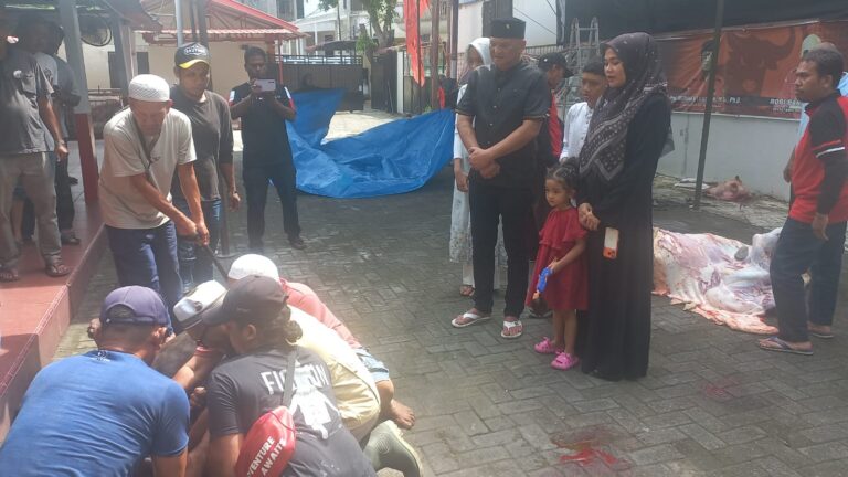 Ketua Fraksi PDI-P DPRD Medan Kurban 2 Ekor Sapi, Robi Barus: Esensi Idul Adha Adalah Berbagi