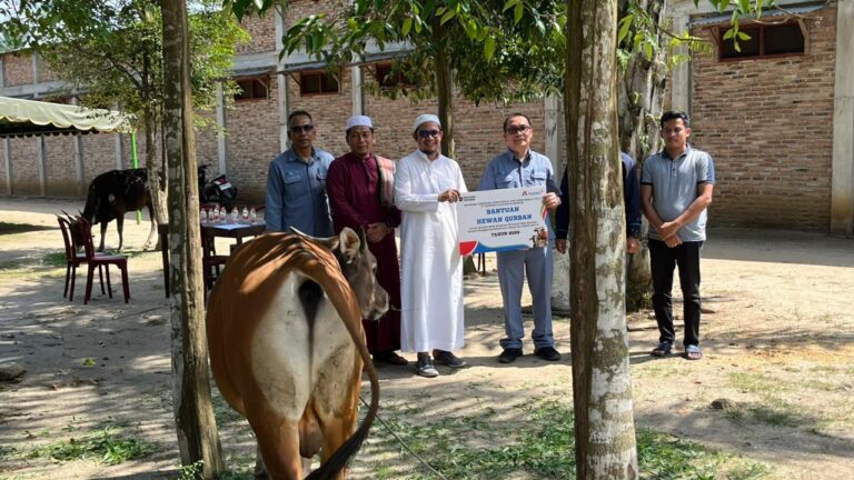 Sambut Idul Adha 1447 H, INALUM Salurkan 107 Hewan Kurban di Sumatera Utara