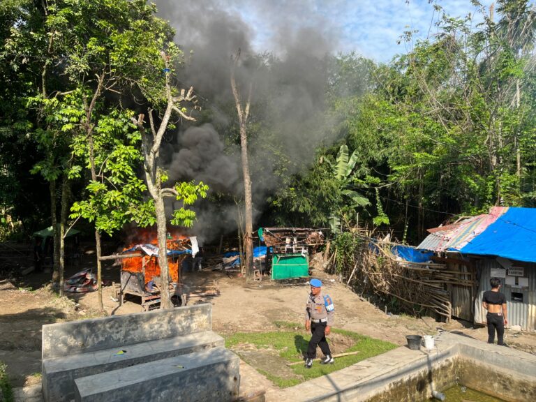 Polisi Bakar Sarang Narkoba di Area Perkebunan dengan Pengamanan Sejumlah CCTV di Sei Mencirim