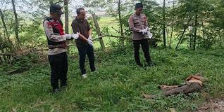 Mayat Pria Tanpa Identitas Ditemukan  Tergeletak di Pinggir Jalan Desa Serdang