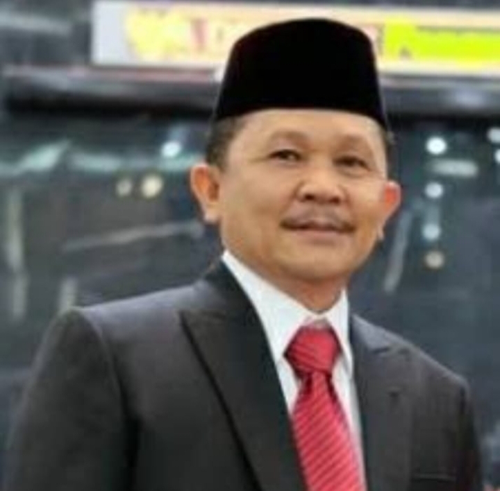 Dukung Perintah Presiden Prabowo, Fraksi PDI Perjuangan : Hentikan Aktivitas Pertambangan Ilegal di Sumut