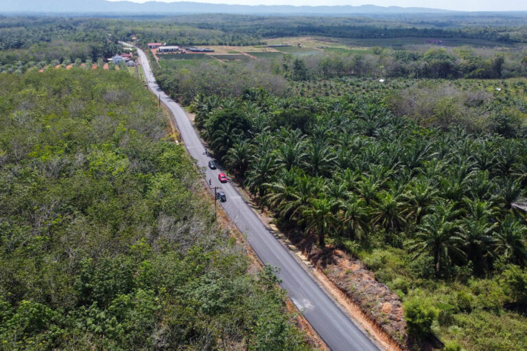 Perbaikan Jalan Hutaimbaru-Sipiongot Mulai Berjalan, Warga Rasakan Dampak Ekonomi dan Mobilitas Meningkat