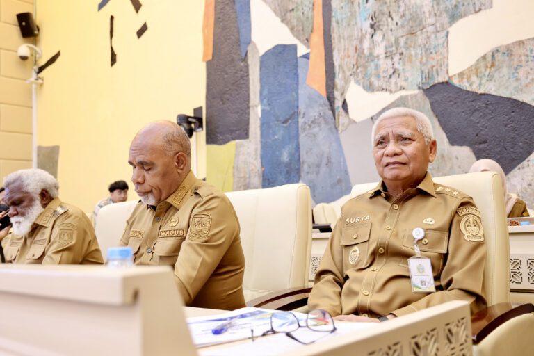 RDP dengan Komisi II DPR RI, Wagub Surya Paparkan Strategi Optimalisasi Aset dan BUMD untuk Dongkrak PAD Sumut