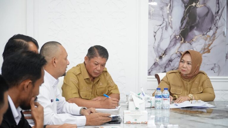 Plt. Bupati Tiorita Dorong PLN Percepat Layanan Listrik Langkat