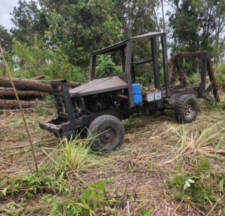Sikapi Laporan Masyarakat, Legislator Golkar Minta Poldasu Perintahkan Polres Humbahas Usut Perambahan Hutan Pinus di Habeahan