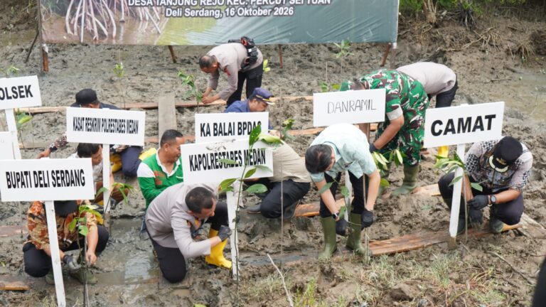Dukung Pelestarian Pesisir, Pemkab Deli Serdang Tanam 1.994 Bibit Mangrove
