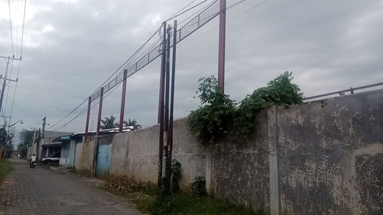 Pembangunan Gudang Megah, Trantib Kelurahan Kedai Durian Klaim PBG Sedang Diurus
